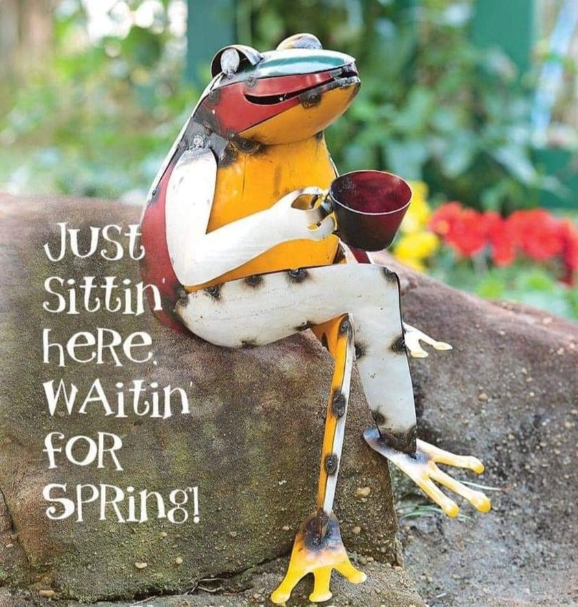waiting for spring..jpg