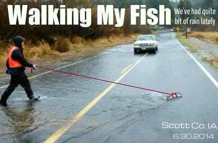 walking the pet fish.jpg