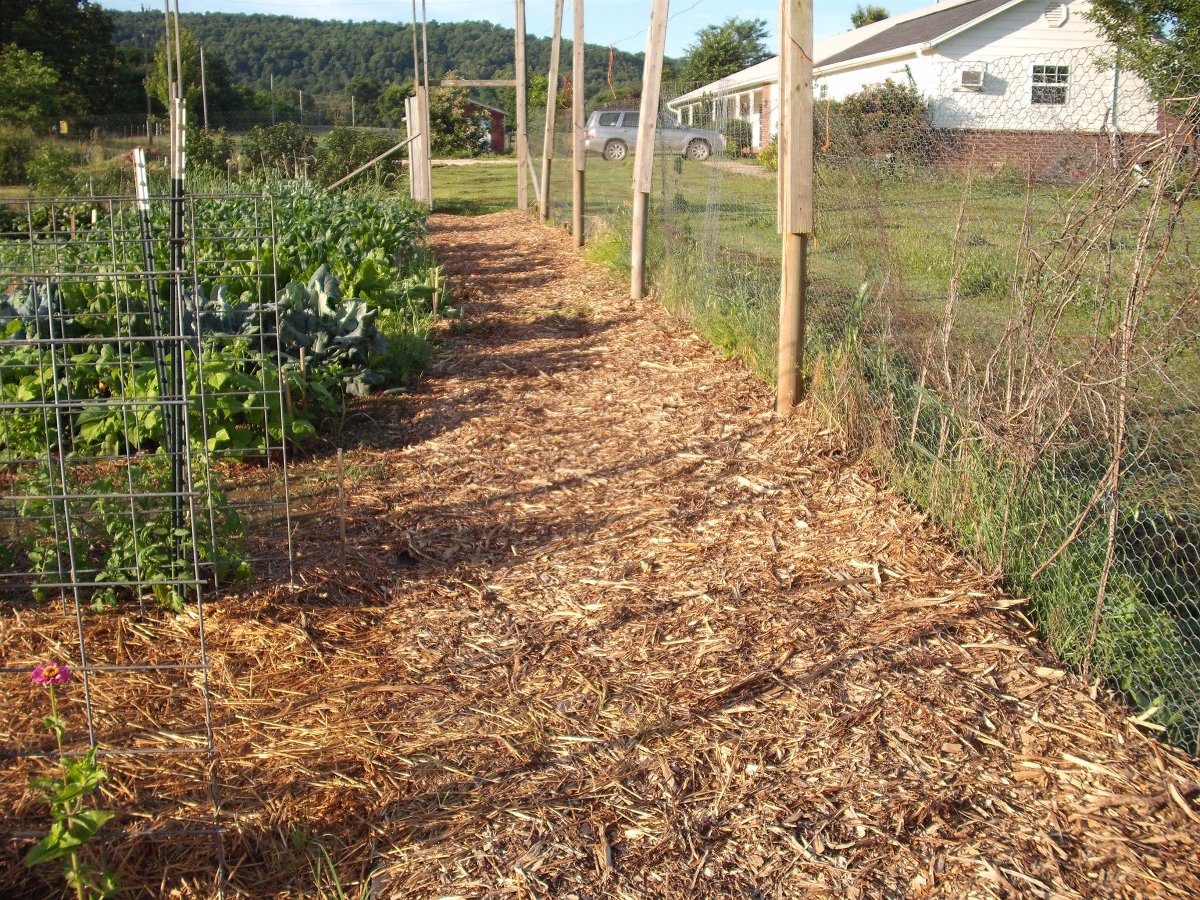 Walkway.JPG