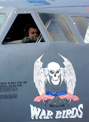 War Bird.jpg