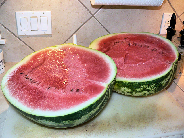 Watermelon_A_072312.jpg