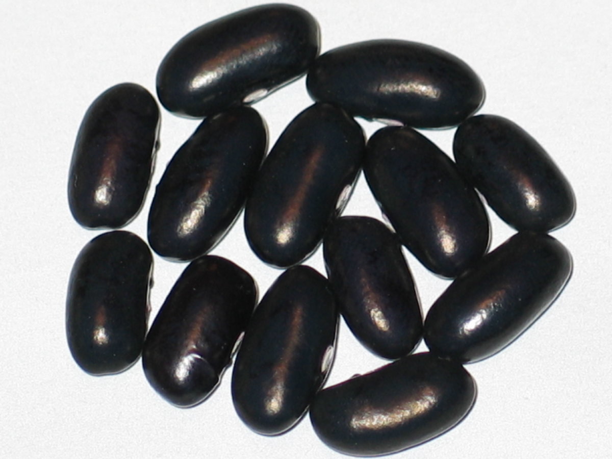 WB-PKT #22 Black #4.jpg