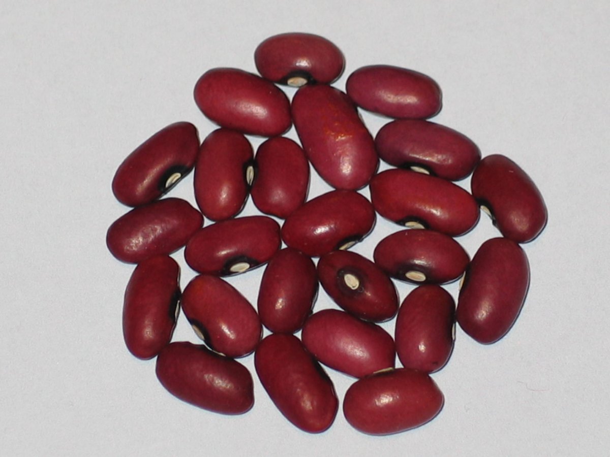 WB-PKT #27.1 #2 Woostock Red.JPG