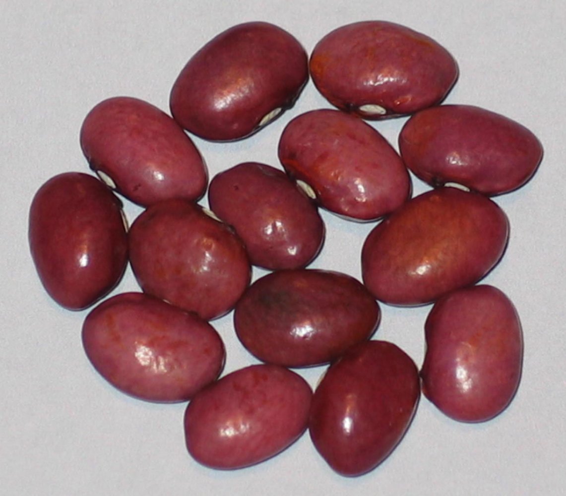 WB-PKT #27.2.1 - Riley's Red.jpg