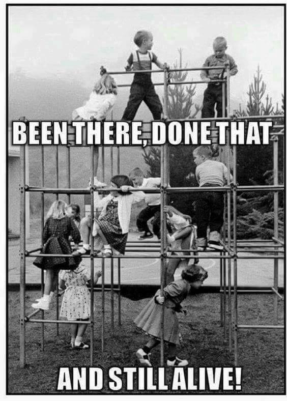 we survived the monkey bars.jpg