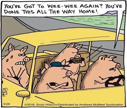 wee wee wee all the way home.jpg