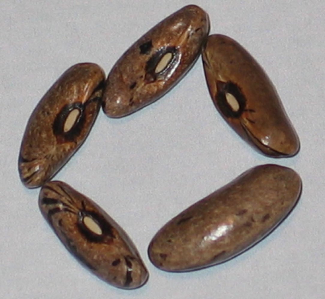 Wesley Railroad Spike.jpg