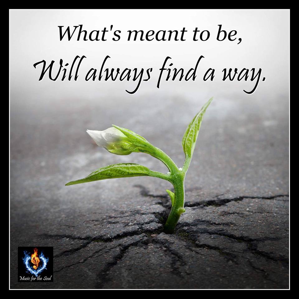 what is meant to be.jpg