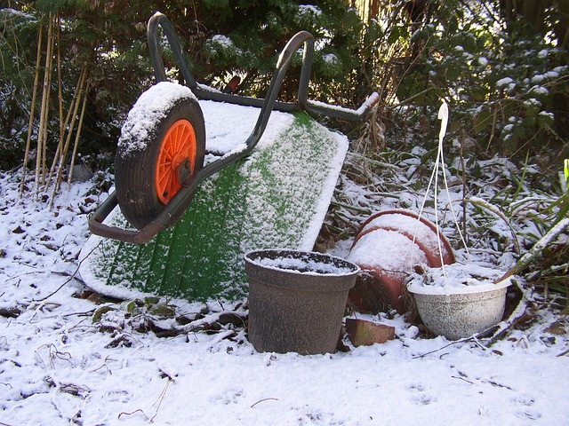 Protecting Your Garden Against The Winter Frost Protecting Your Garden Against The Winter Frost