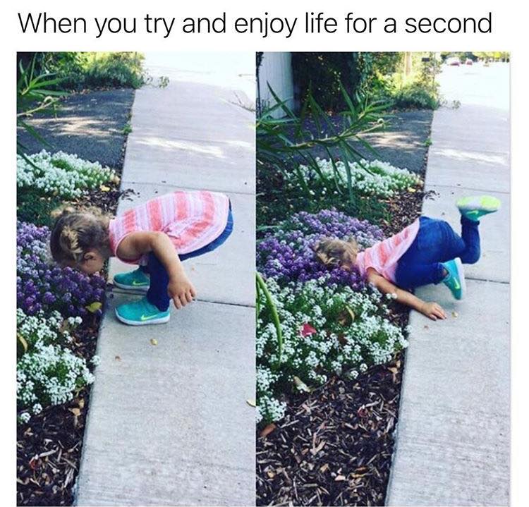 when you want to enjoy life.jpg