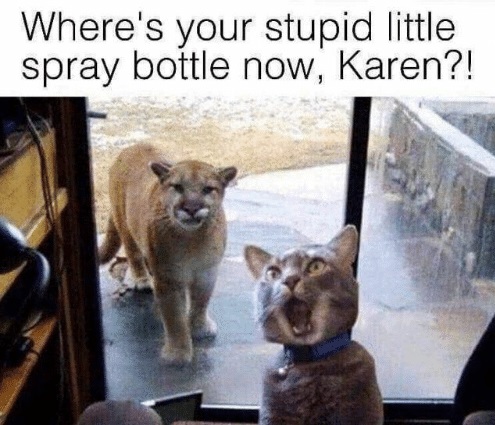 wheres-your-stupid-little-spray-bottle-now-karen-20-funny-39067690.jpg