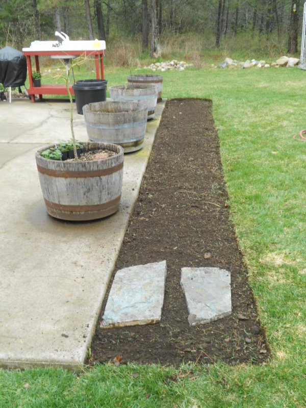 whiskey barrel bed 002.JPG