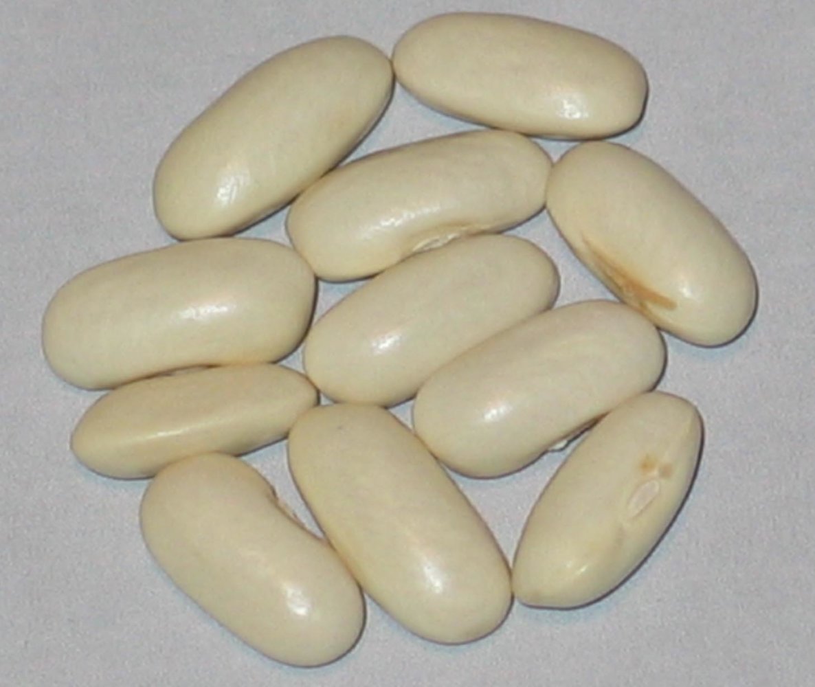 White Seeded Pencil Pod.jpg