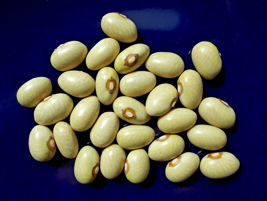 Wiślica.jpg