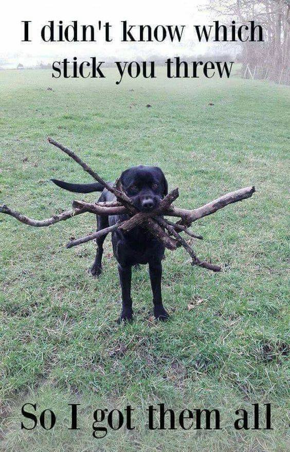 wich stick.jpg