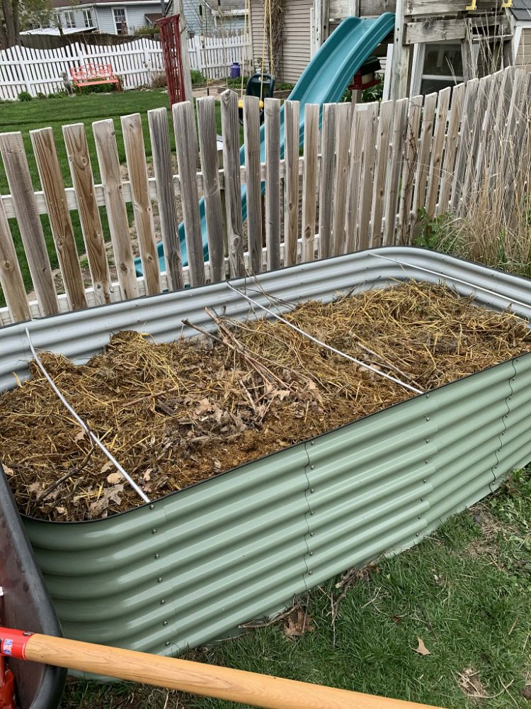 Wilma's raised bed, #3.jpg