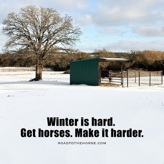 Winter is hard, make it harder, keep horses.jpg