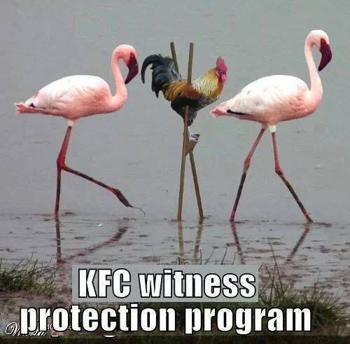 witness protection.jpg