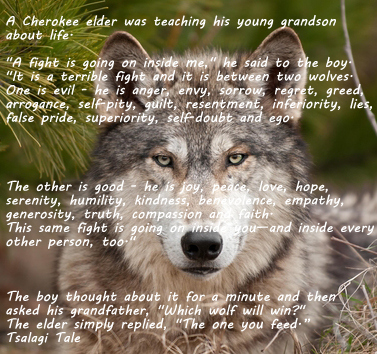 wolf.jpg