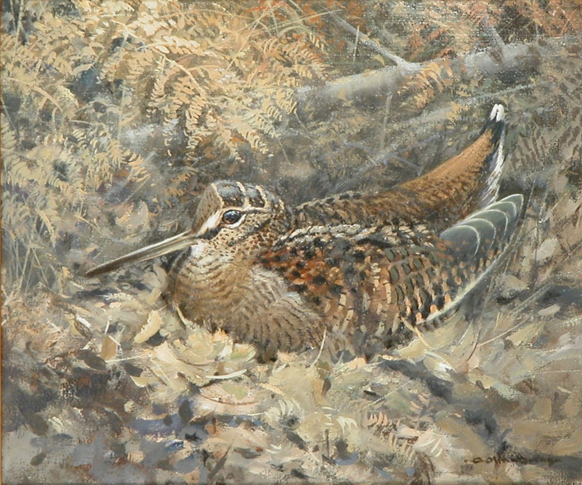 WoodcockPainting1.jpg