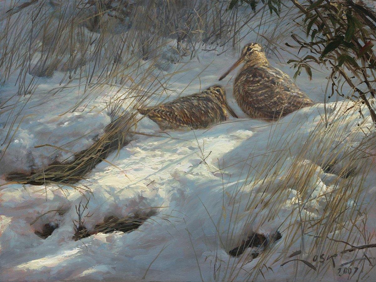 WoodcockPaintingSnow2.jpg