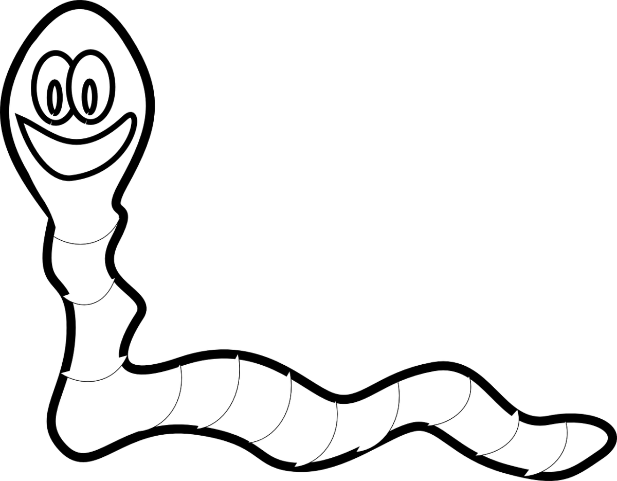 worm-g40b7ca0d3_1280.png