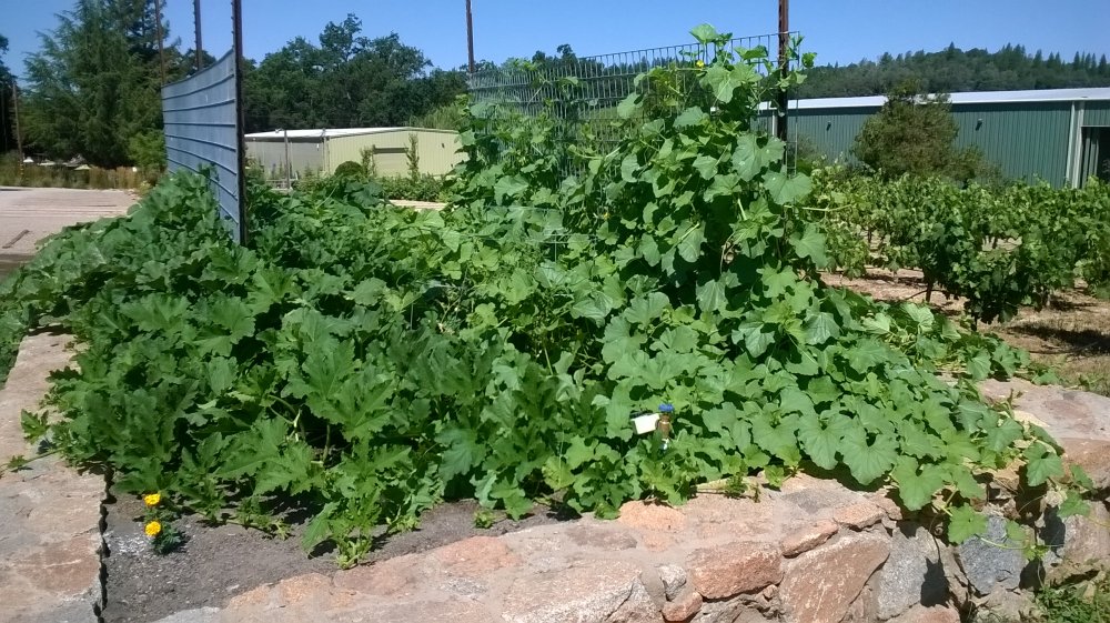 WP_20140713_006.jpg
