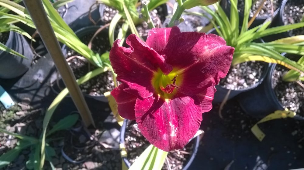 WP_20140915_001.jpg