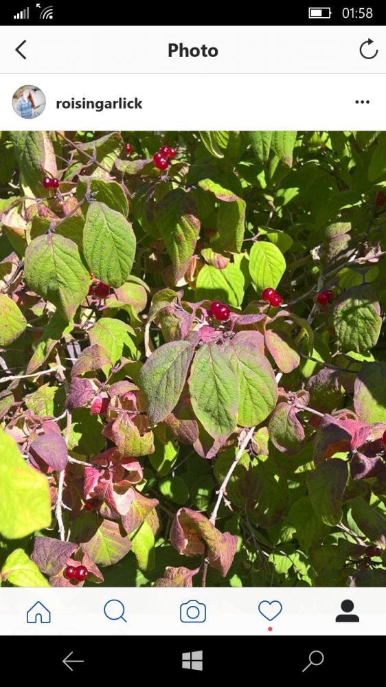wp_ss_20160719_0001.png