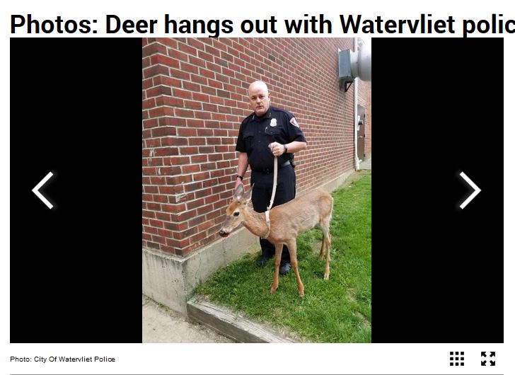 wpd.JPG