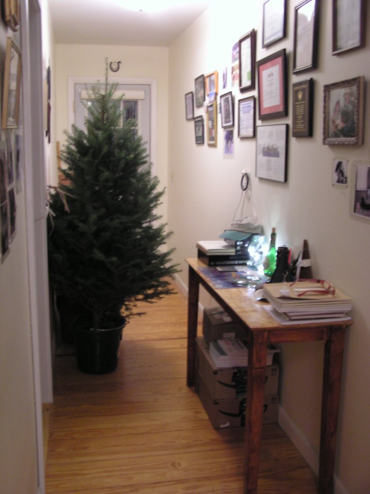 XmasTree.JPG