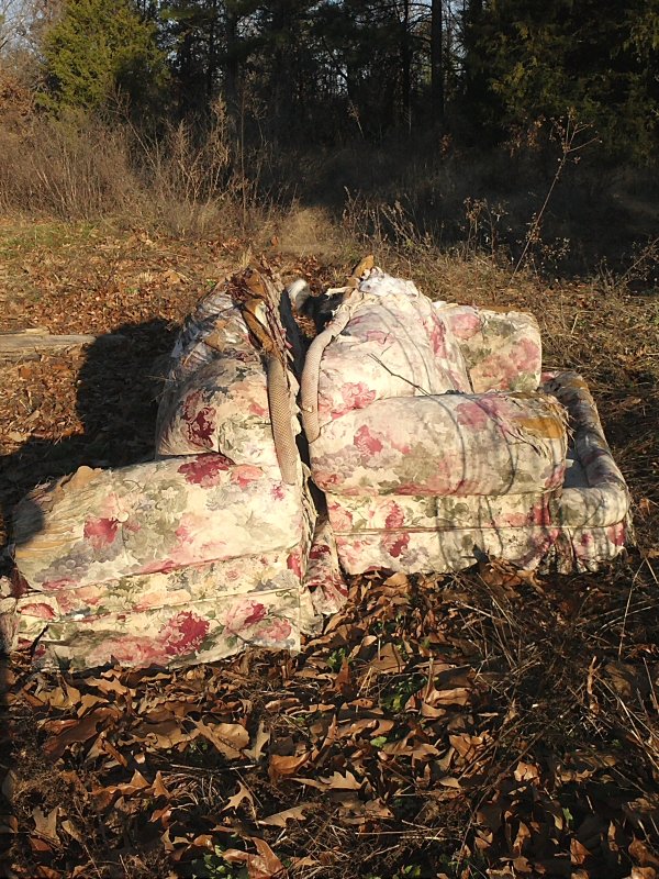 Yard Art.jpg
