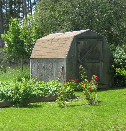 yard fixed.jpg
