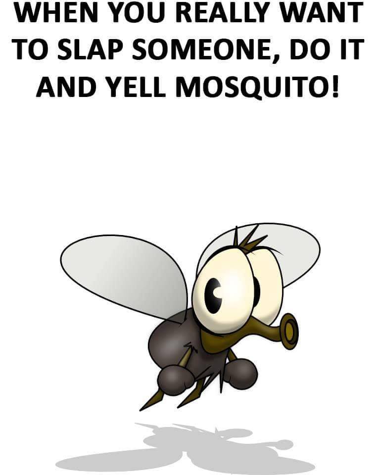 yell mosquito.jpg