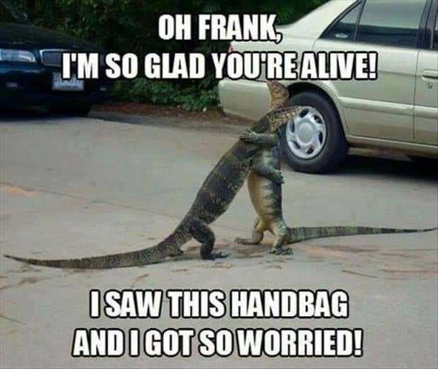 you are alive lizard.jpg