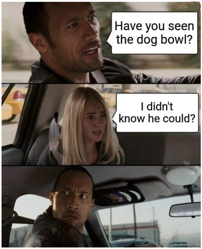 zbowl.jpg