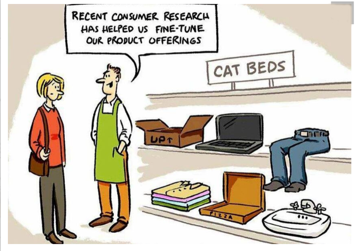 zcatbed.png