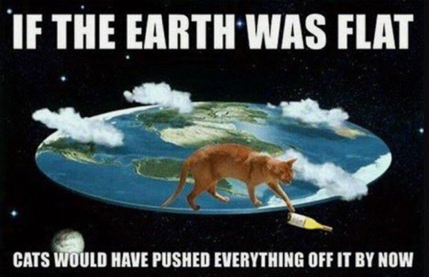zCats.JPG