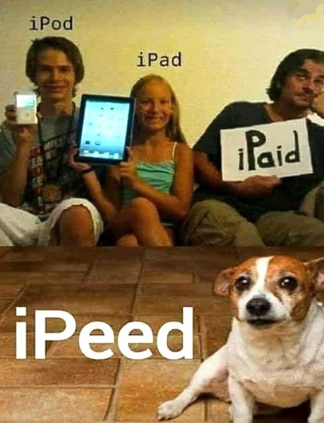 zdog copy.jpg