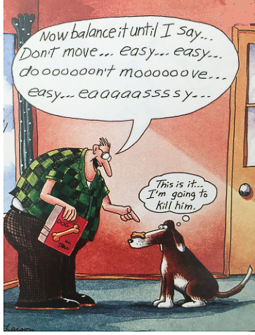zdog.png