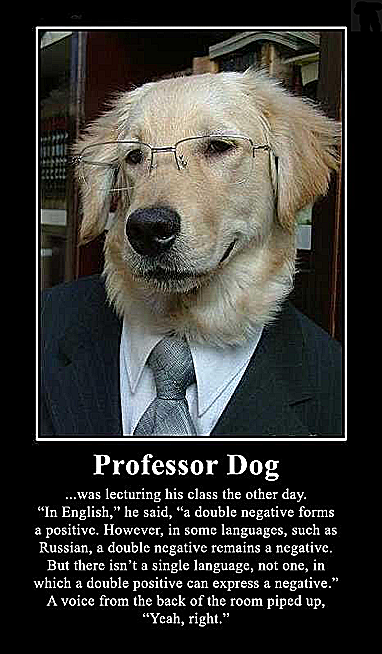 zdog.png