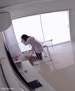 zdoghouse.gif