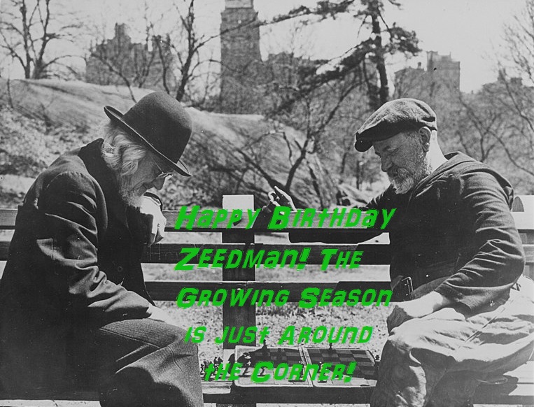 Zeedman's birthday.jpg