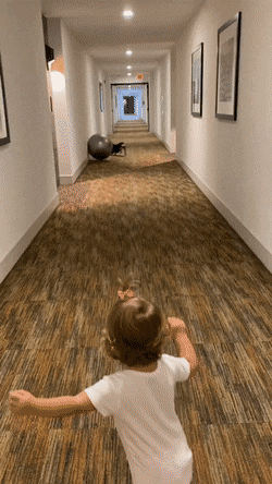 zgame.gif