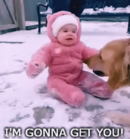 zget.gif