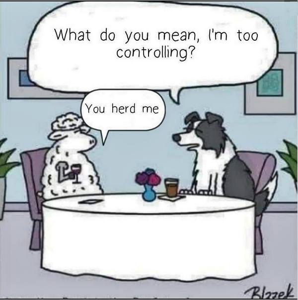 zherd.png