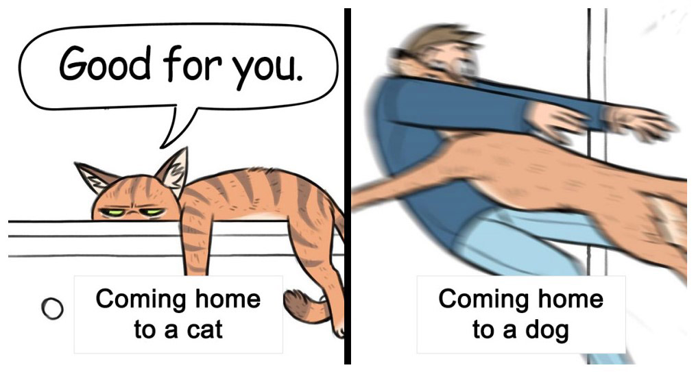 zhomecoming.jpg