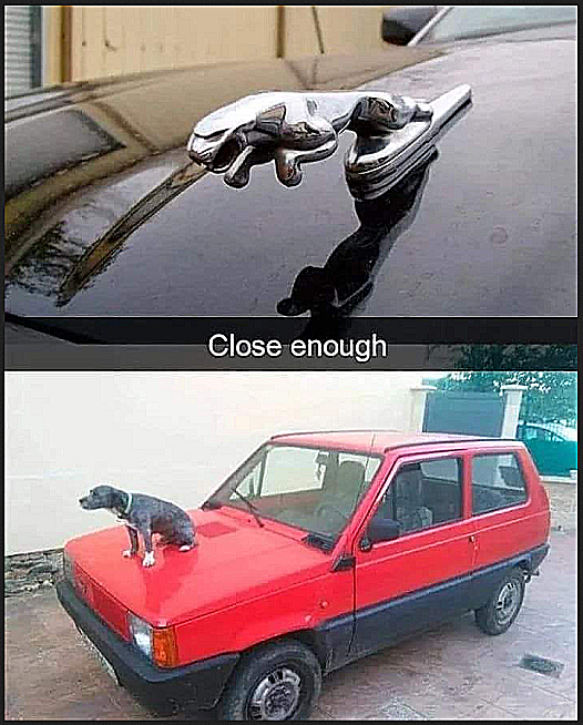 zjag.png