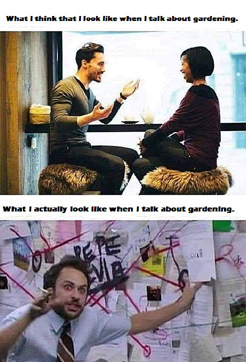 zlooklike.jpg