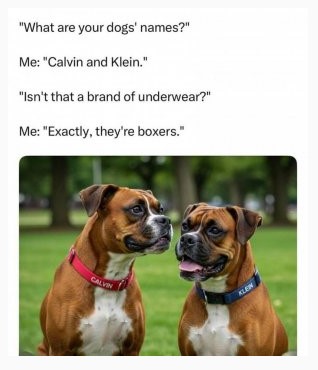 znames.jpg